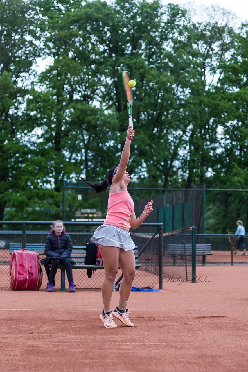 Bild 352 - NL VfL Westercelle - SVE Wiefelstede : Ergebnis: 8:1